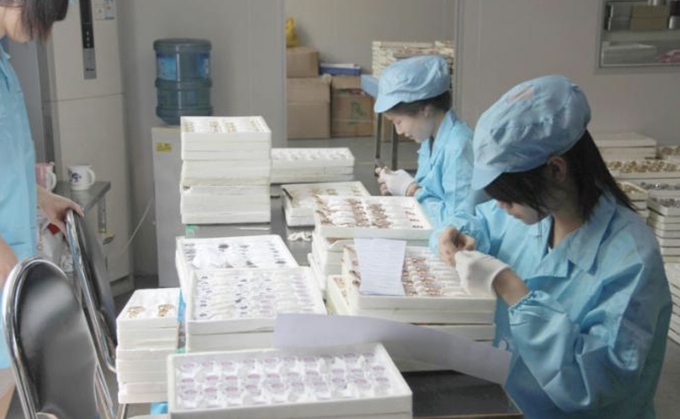 Dong Guan Aopiqiu Watch Co., Ltd., factory production line 4